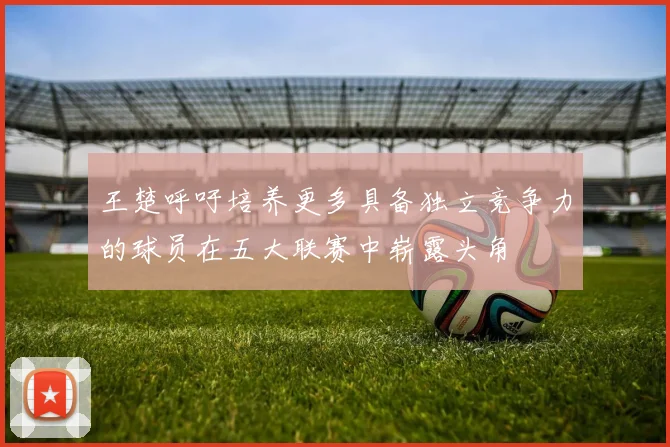 王楚呼吁培养更多具备独立竞争力的球员在五大联赛中崭露头角