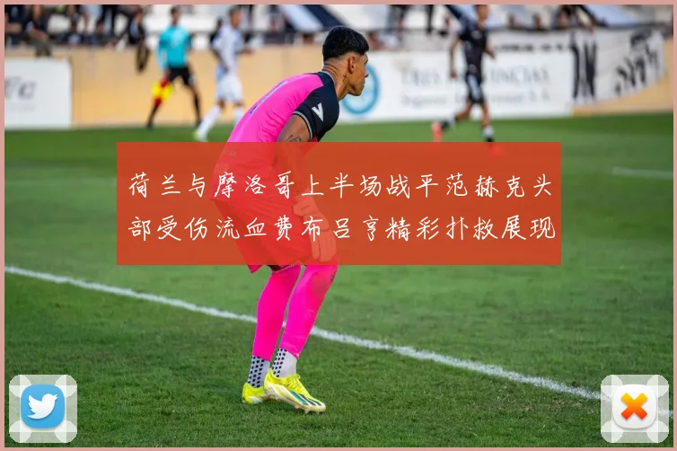 荷兰与摩洛哥上半场战平范赫克头部受伤流血费布吕亨精彩扑救展现实力