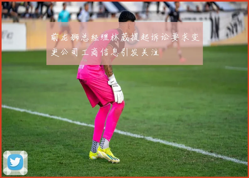 前龙狮总经理林葳提起诉讼要求变更公司工商信息引发关注