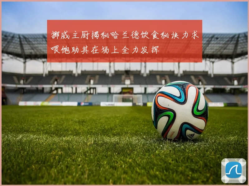 挪威主厨揭秘哈兰德饮食秘诀力求喂饱助其在场上全力发挥